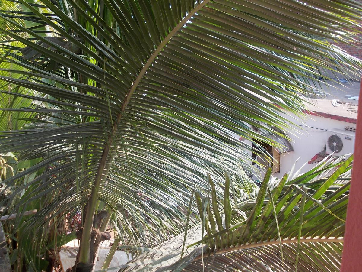 Hotel Sun Plaza-Near Konark Sun Temple- Couple Friendly-Best Choice Of Travellers Exterior photo